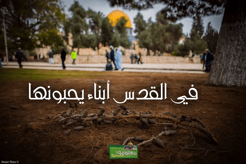 في القدس أبناء يحبونها