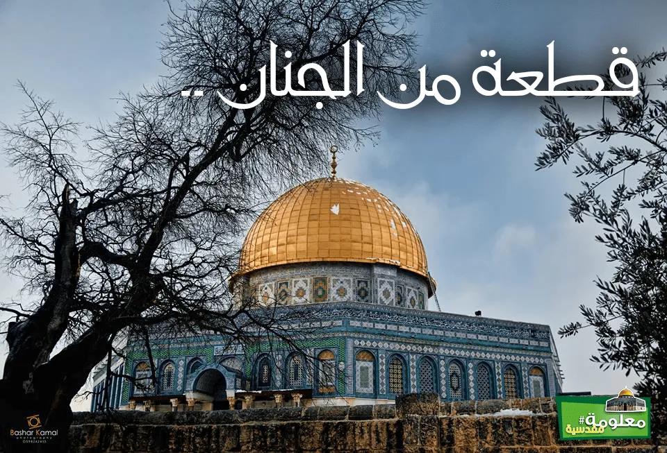 قطعة من الجنان