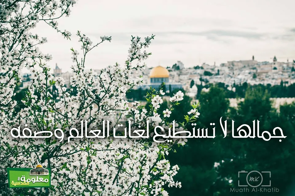 جمالها لا تستطيع لغات العالم وصفه