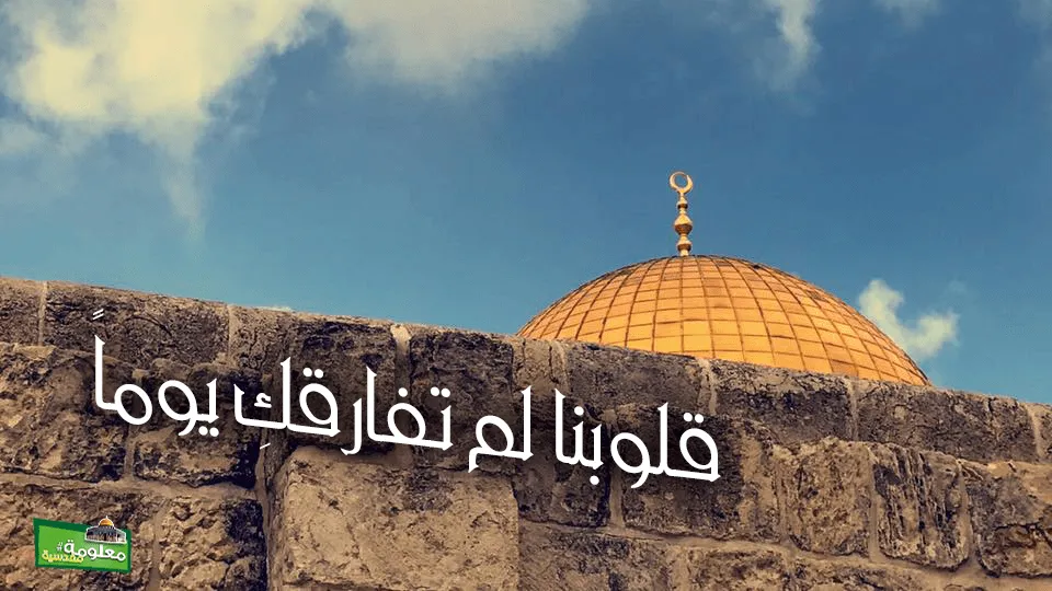 قلوبنا لم تفارقك