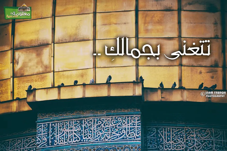 تتغنى بجمالك