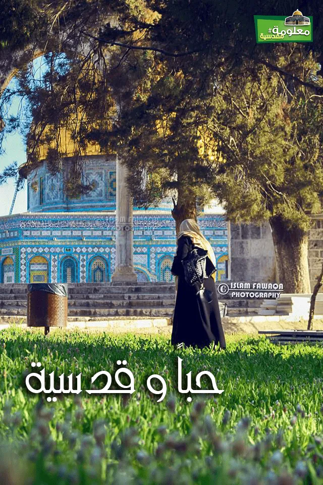 حباً وقدسية