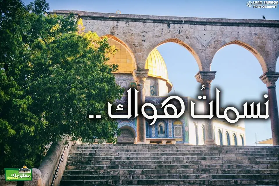 نسمات هواك