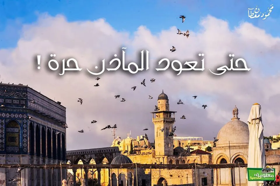 حتى تعودَ المآذنُ حرةً