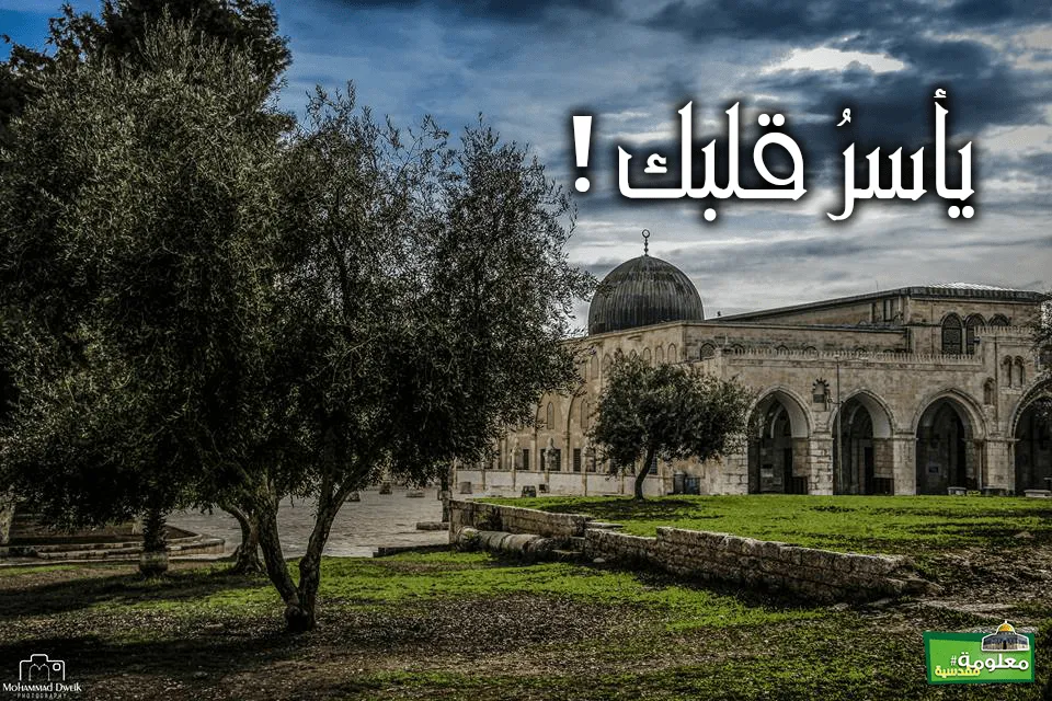 يأسرُ قلبك