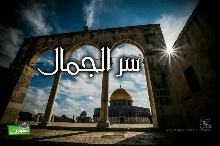سر الجمال