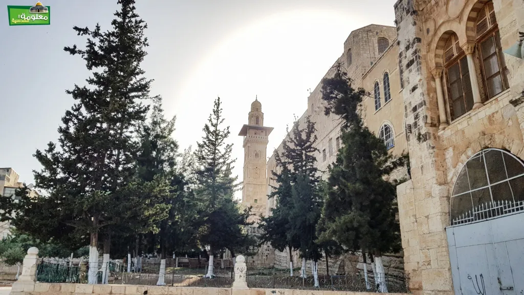المدرسة العمرية