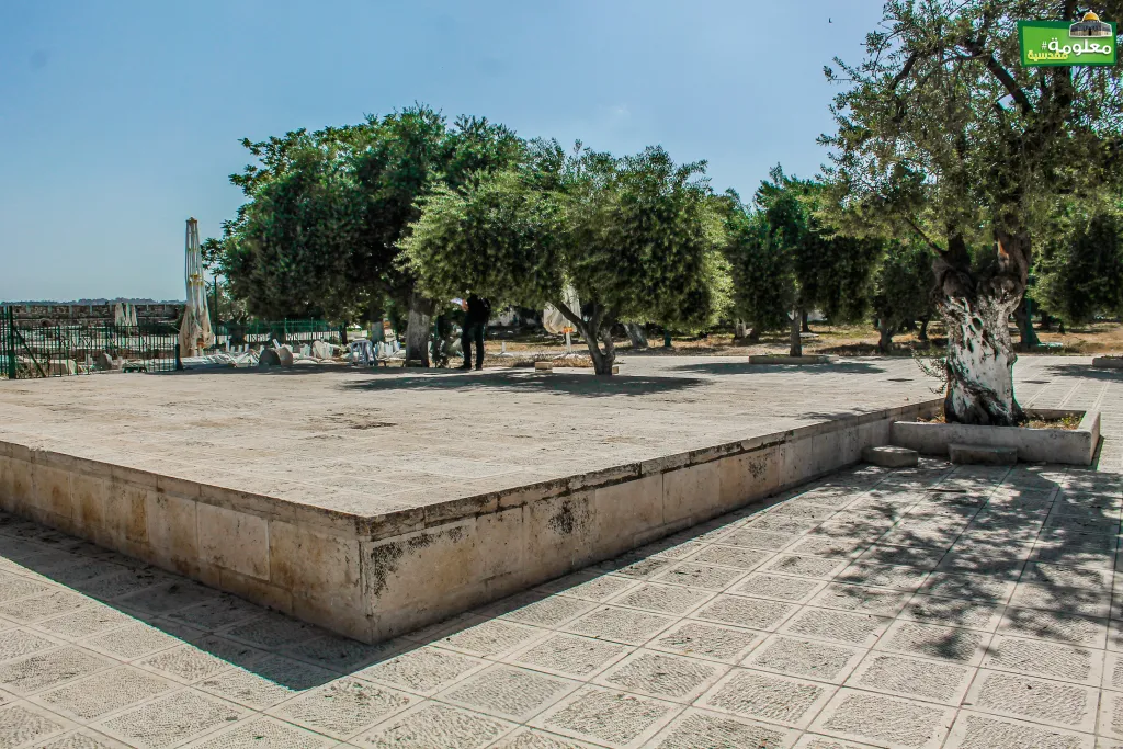 Western Marwani Gate Terrace
