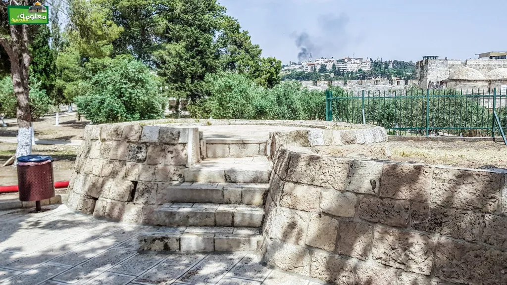 المصطبة شبه الإسطوانية