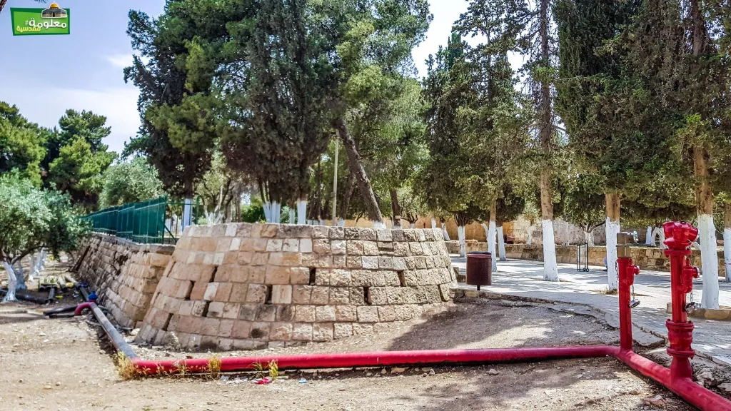 المصطبة شبه الإسطوانية