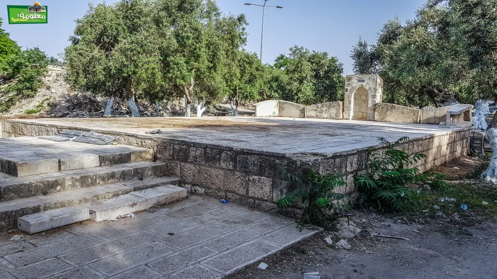 مصطبة الزيتون الشرقية