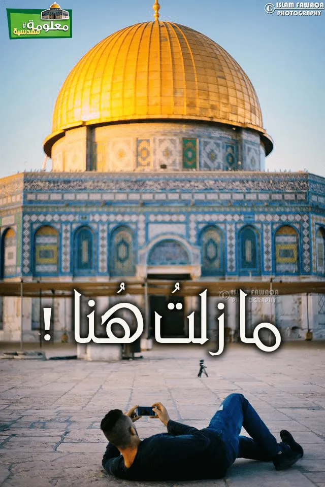 ما زلتُ هنا
