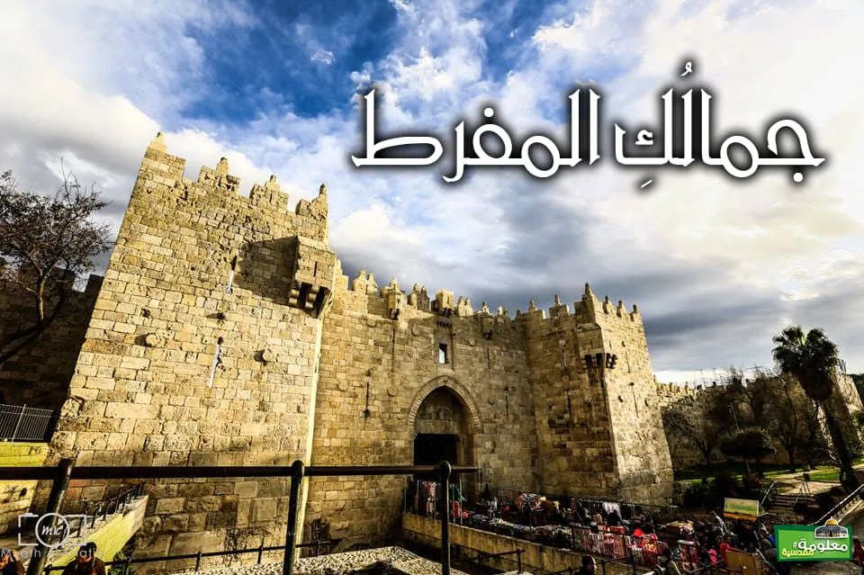 جمالكِ المفرط