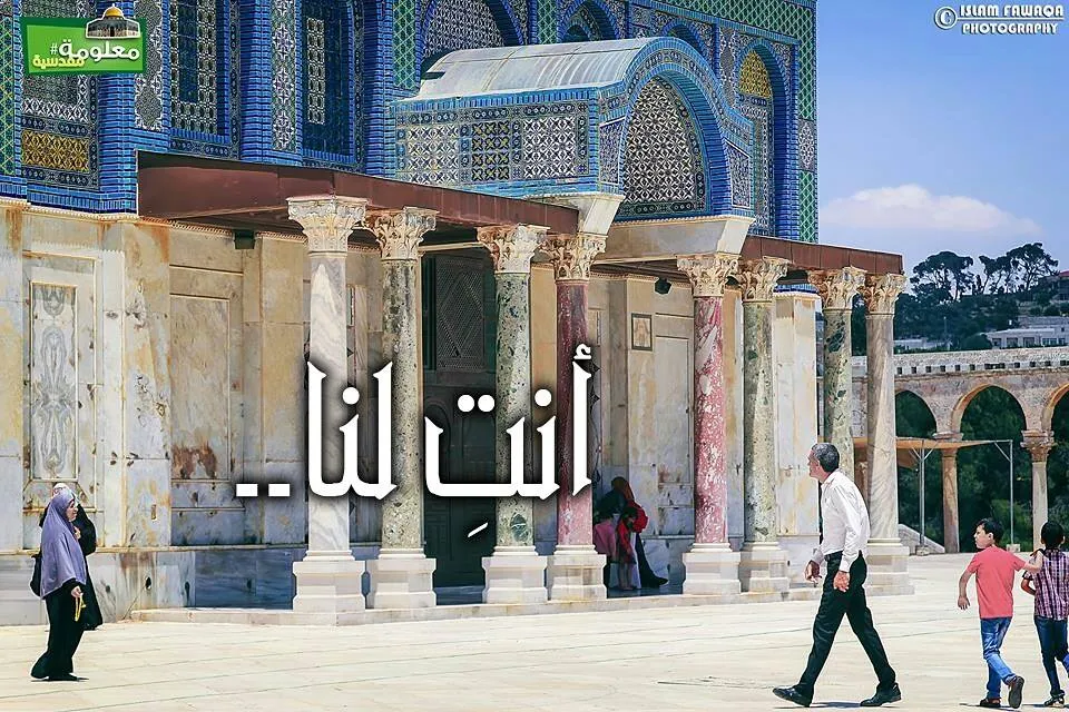 أنتِ لنا