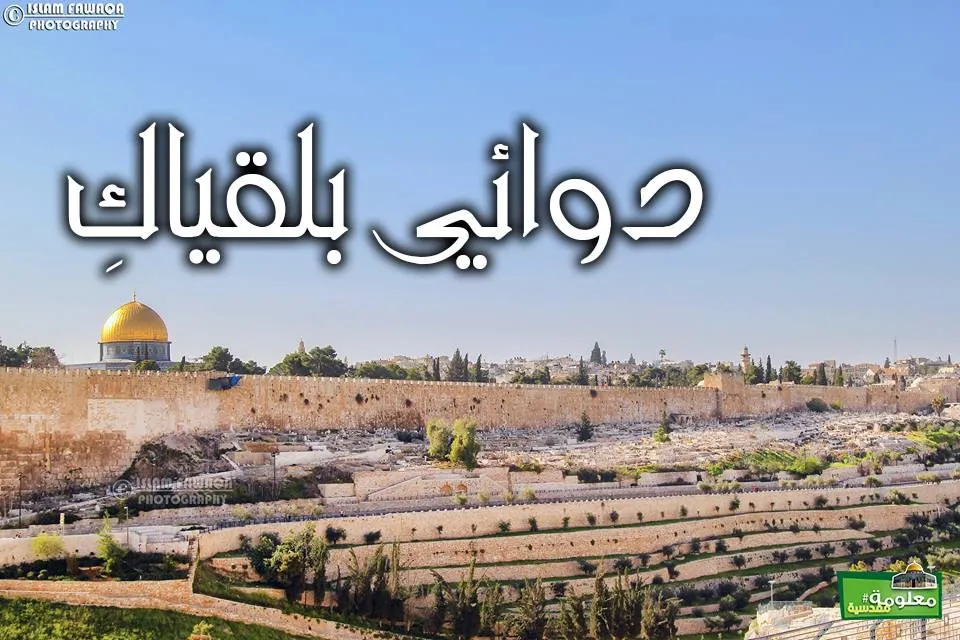 دوائي بلقياك