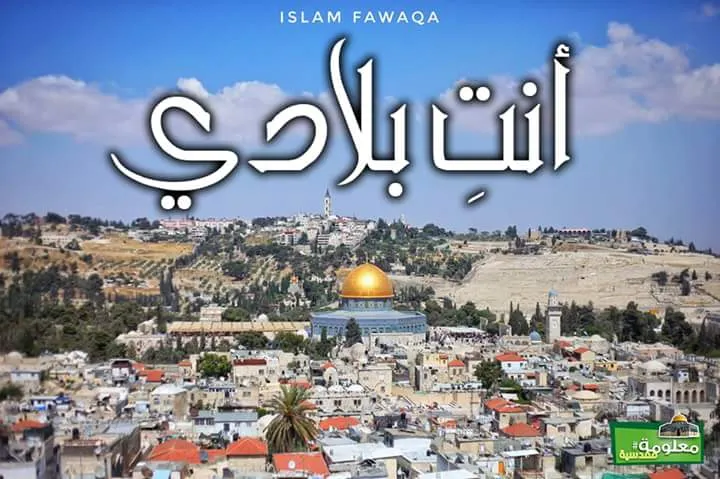 أنت بلادي
