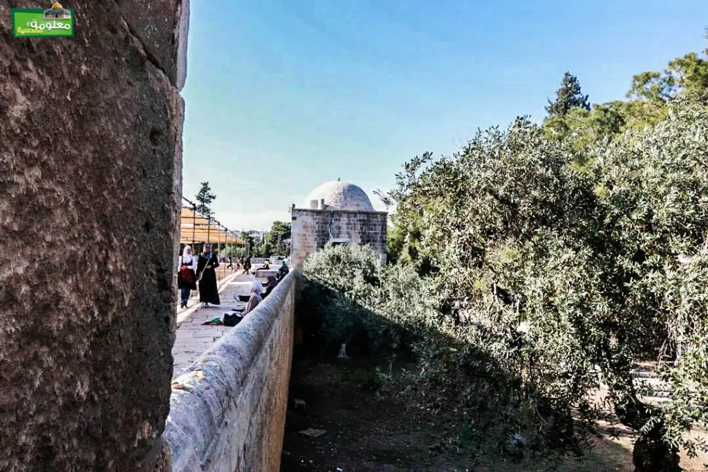الخلوة الشرقية 