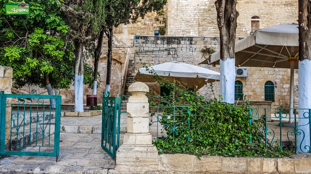 الزاوية الرفاعية