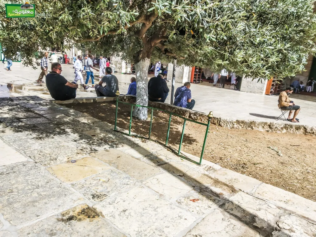 مصطبة الزهور