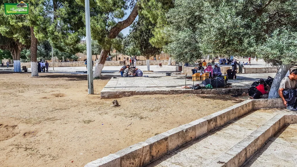 مصطبة الزهور