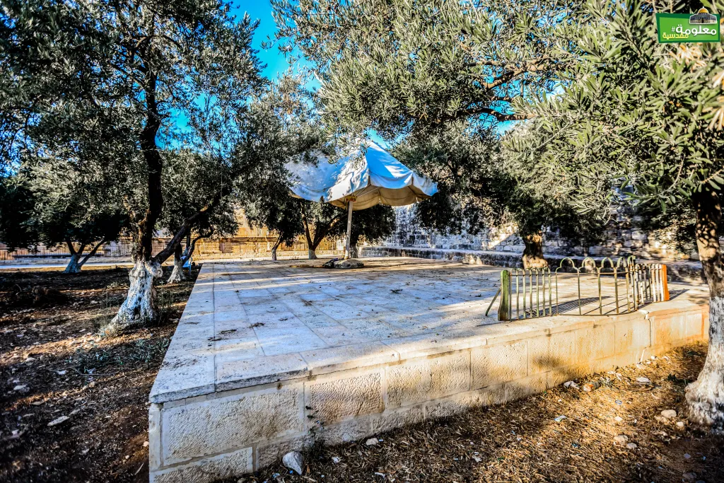 مصطبة الغزالي