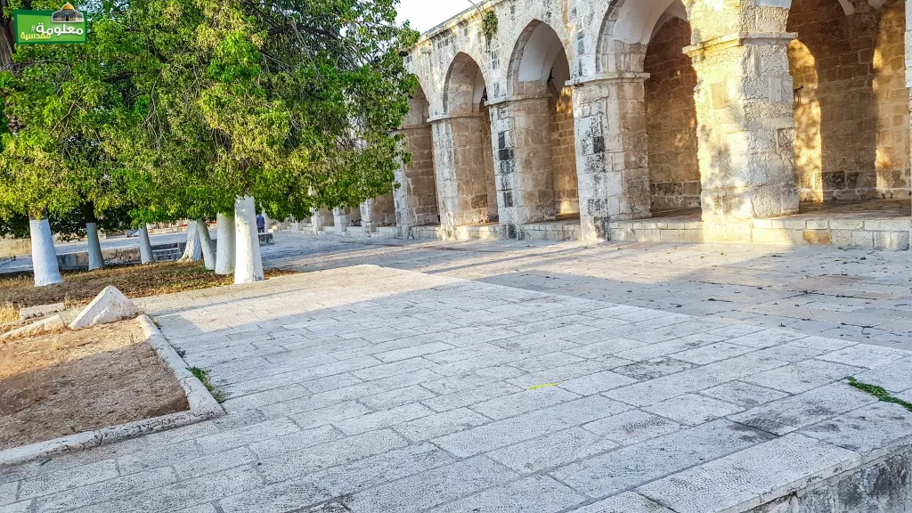 مصطبة المدرسة التنكزية