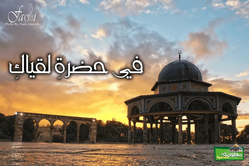 في حضرة لقياك