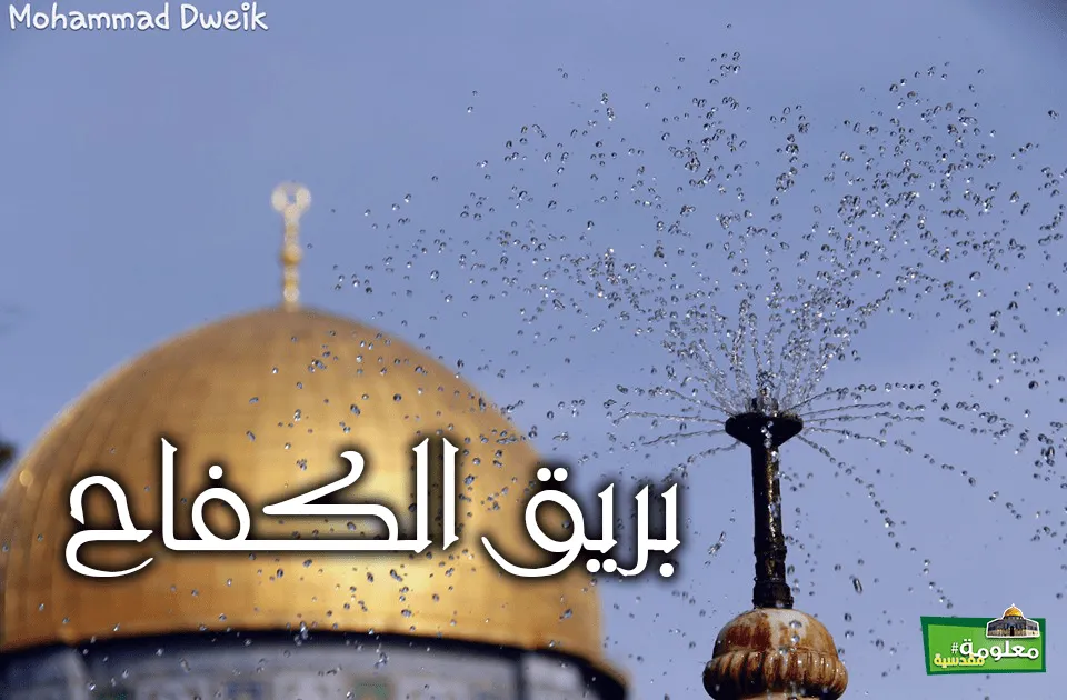 بريق الكفاح