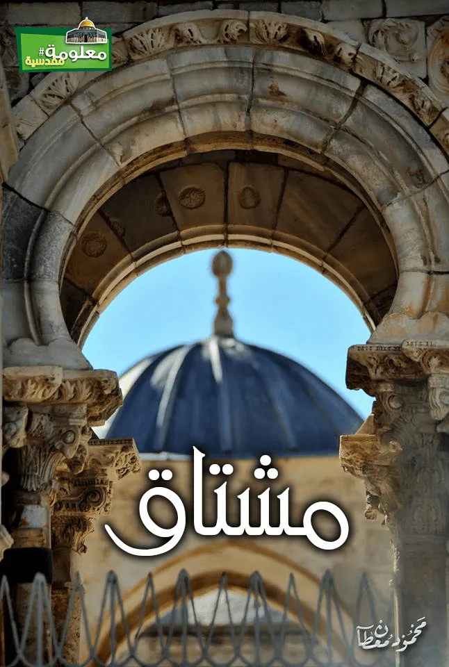 مشتاق