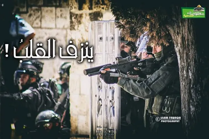ينزف القلب
