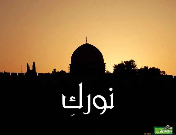 نوركِ