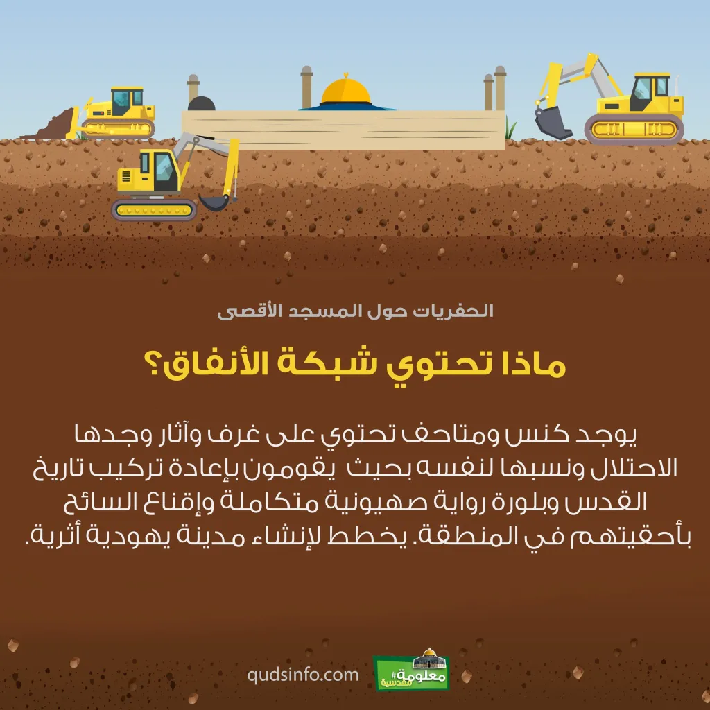 ماذا تحتوي شبكة الأنفاق؟