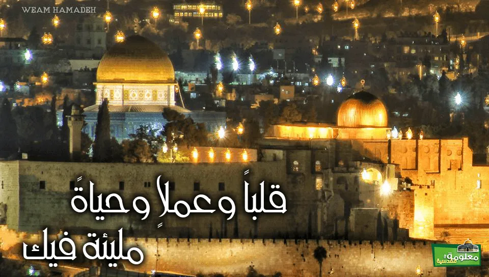 قلباً وعملاً وحياةً مليئة فيك