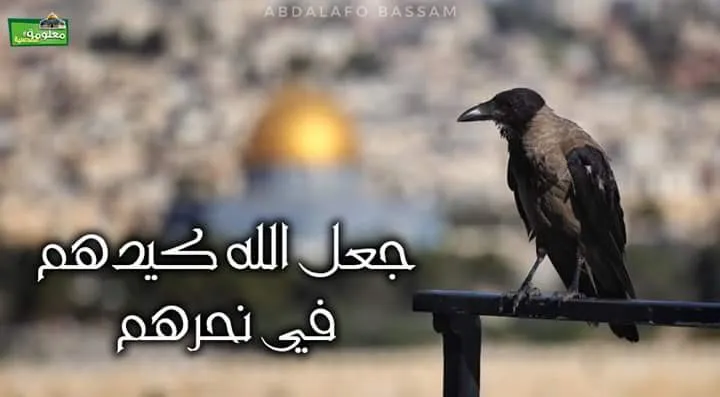 جعل الله كيدهم في نحرهم