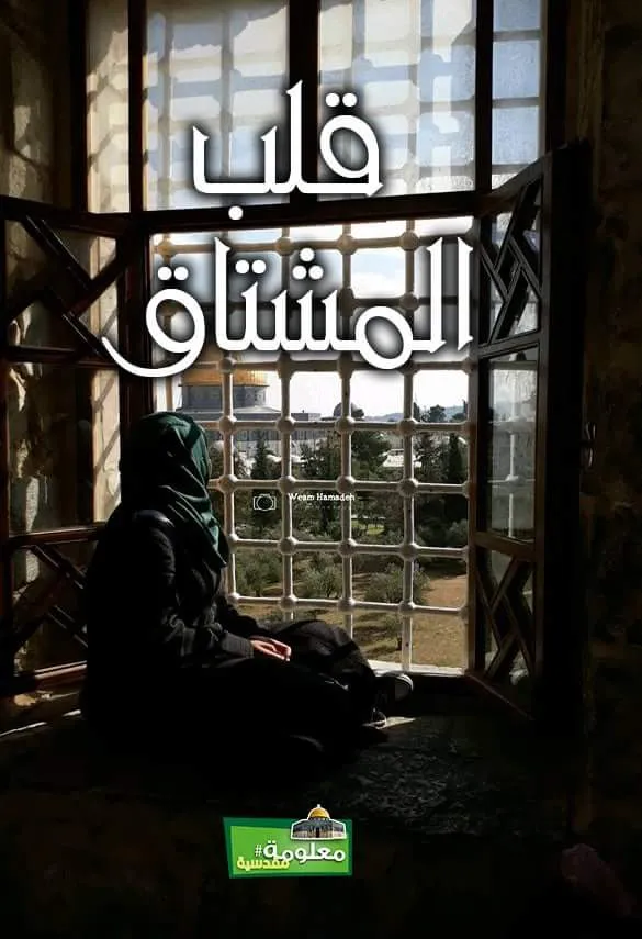 قلب المشتاق
