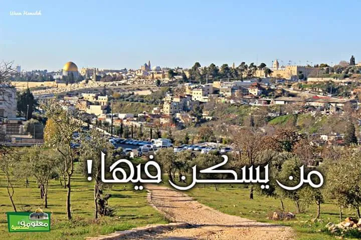 من يسكن فيها