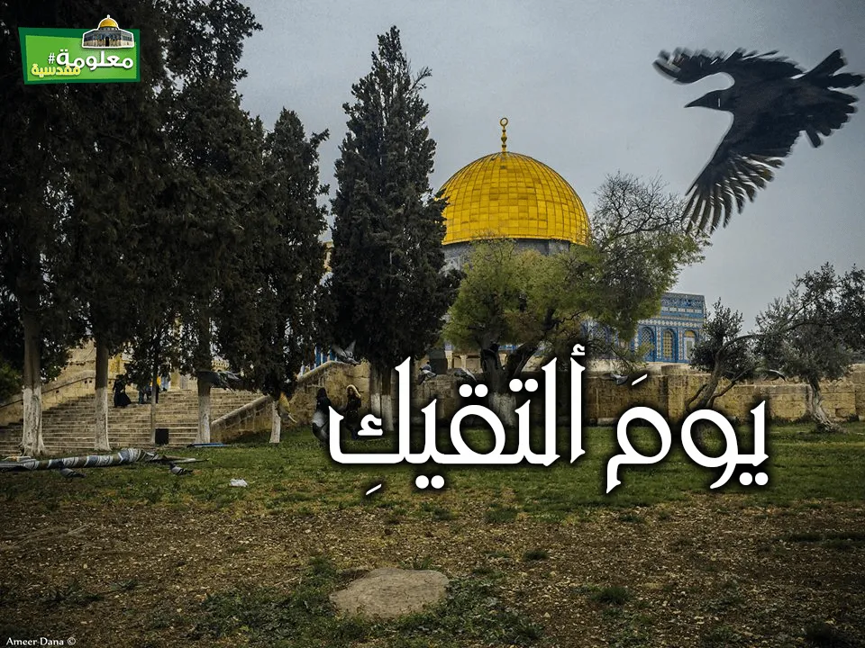 يومَ ألتقيكِ