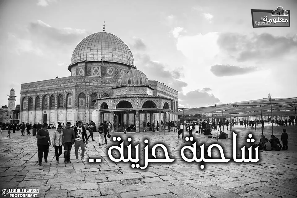 شاحبة حزينة