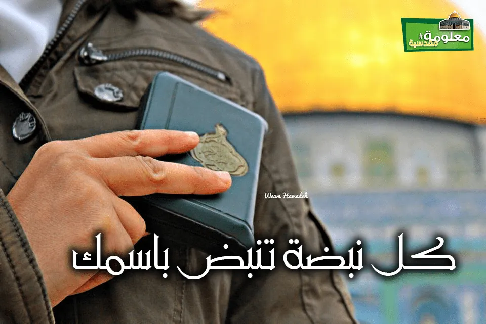 كل نبضة تنبض باسمك