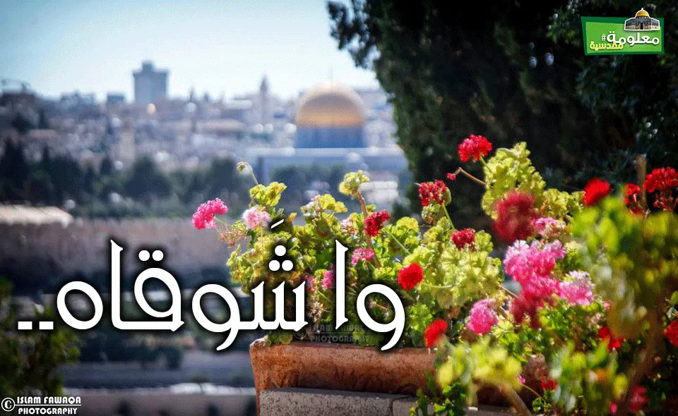 واشوقاه