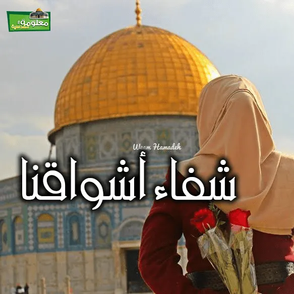 شفاء أشواقنا