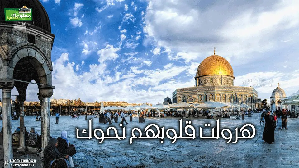هرولت قلوبهم نحوك