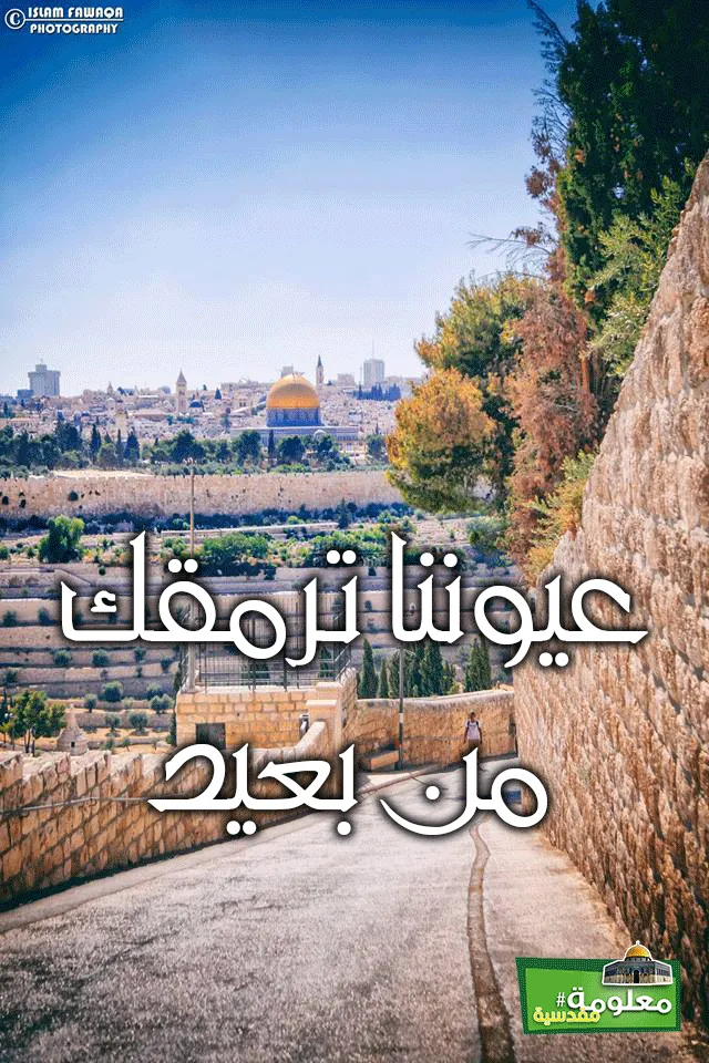 عيوننا ترمقك من بعيد
