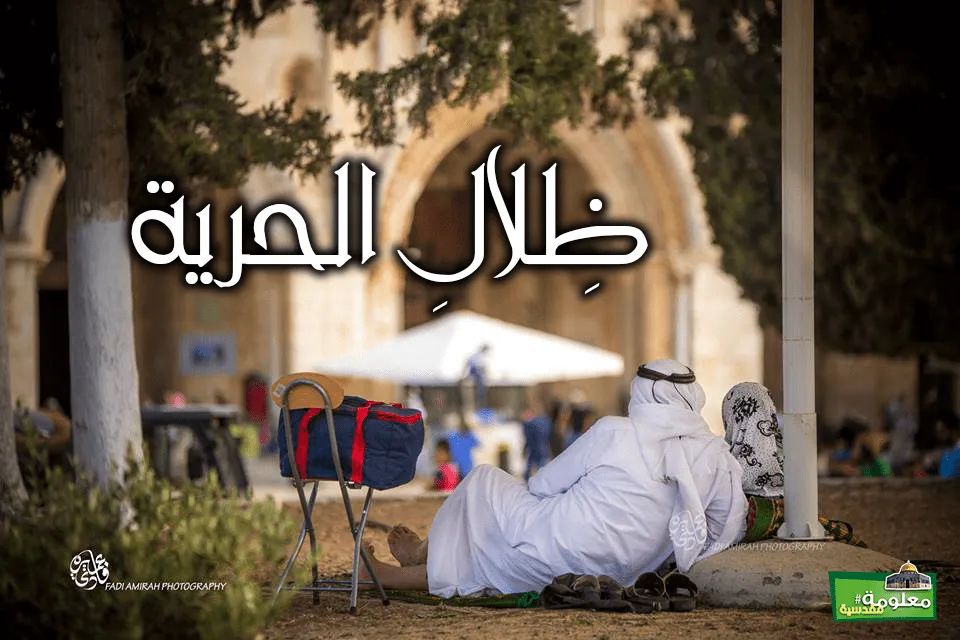 ظِلال الحرية
