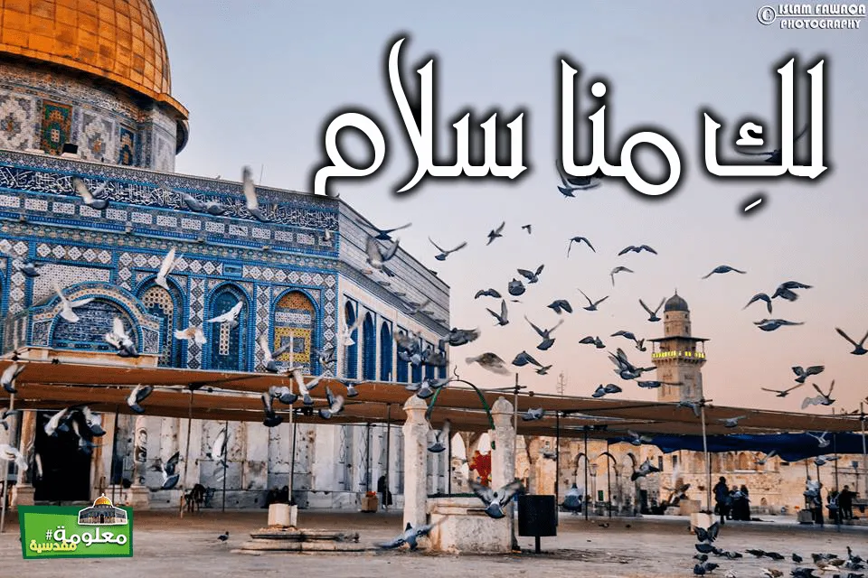 لكِ منا سلام