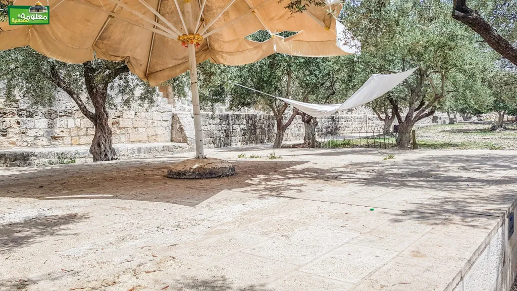 مصطبة الغزالي