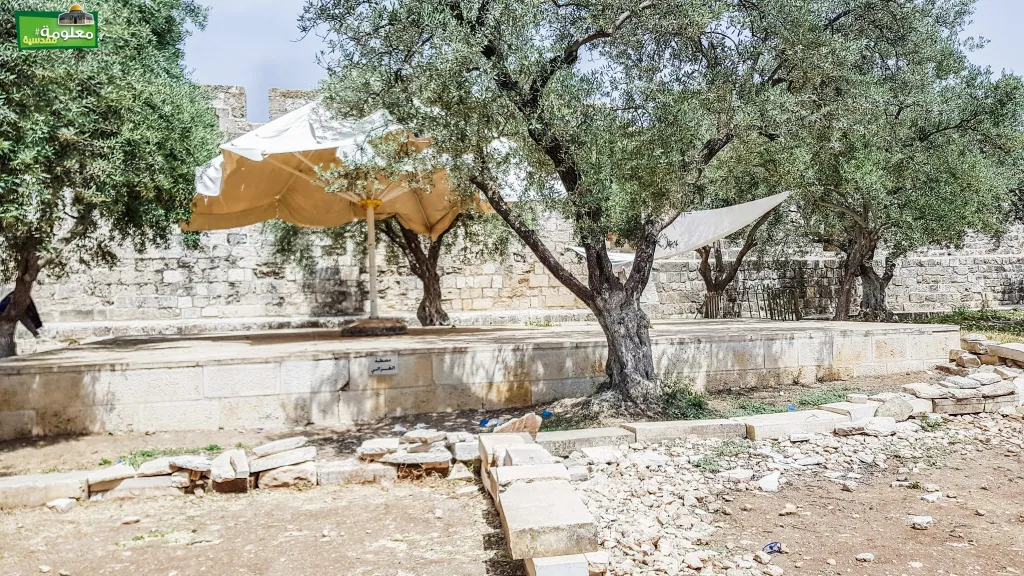 مصطبة الغزالي