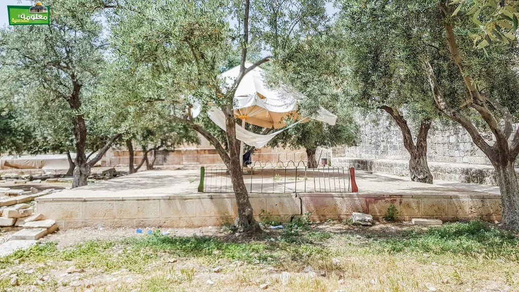 مصطبة الغزالي