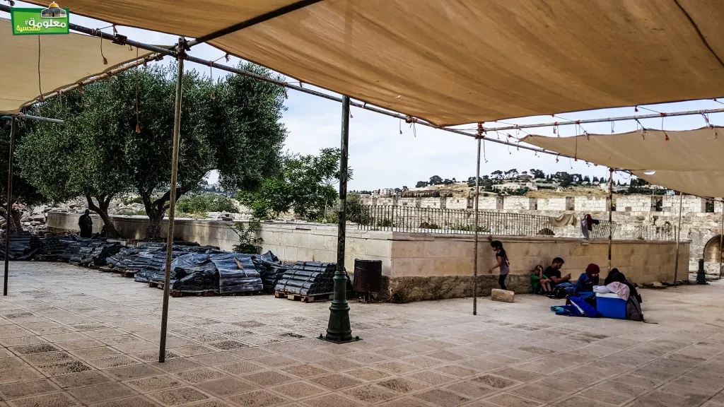 المصطبة الكبرى الشرقية \ مصطبة الساحة  الشرقية