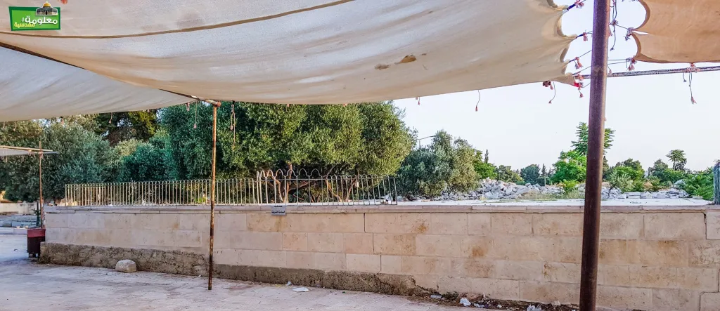المصطبة الكبرى الشرقية \ مصطبة الساحة  الشرقية